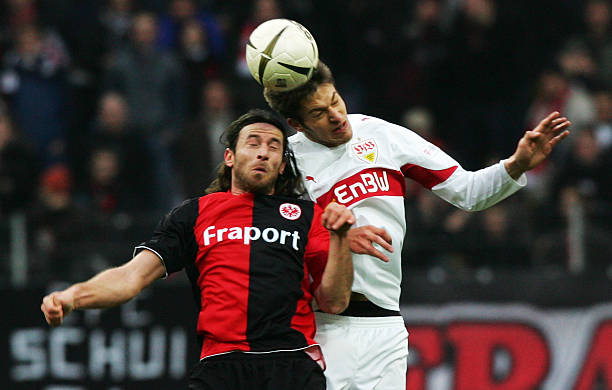 期待融入到 期待融入到